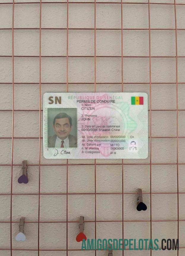 Senegal DL fotovisual frontal exemplo real